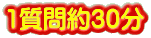 1質問約30分 